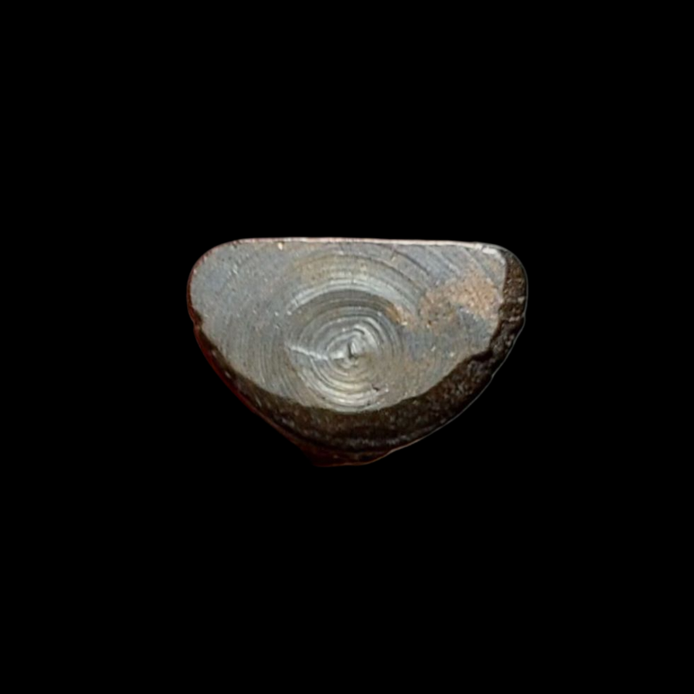 20250706_125234 (1).png