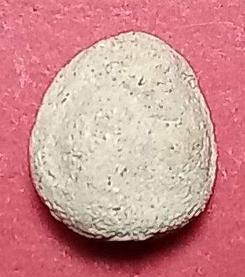 20250720_202144.jpg