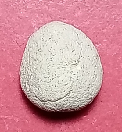 20250720_202157.jpg